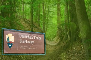 Natchez Trace Nuestro Stories